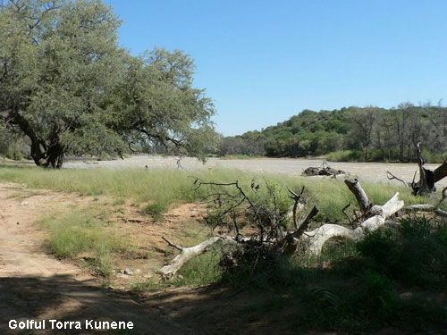 Vacanta in Golful Torra Kunene, vacante de vis, calatorie, insule si locuri de scufundat, top plaje de vis