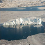 Vacanta in Ilulissatfjord, Golful Disko, vacante de vis, calatorie, insule si locuri de scufundat, top plaje de vis