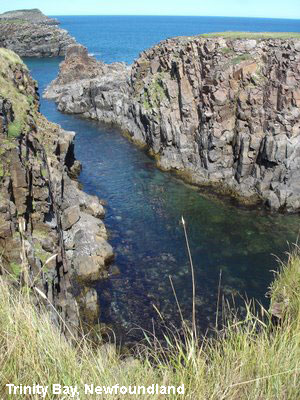 Vacanta in Trinity Bay, Newfoundland, vacante de vis, calatorie, insule si locuri de scufundat, top plaje de vis