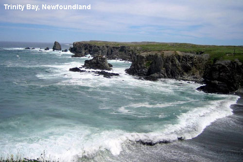 Vacanta in Trinity Bay, Newfoundland, vacante de vis, calatorie, insule si locuri de scufundat, top plaje de vis