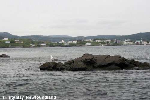 Vacanta in Trinity Bay, Newfoundland, vacante de vis, calatorie, insule si locuri de scufundat, top plaje de vis