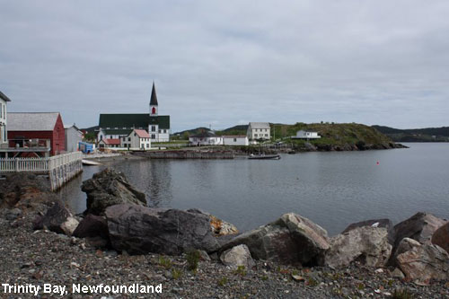 Vacanta in Trinity Bay, Newfoundland, vacante de vis, calatorie, insule si locuri de scufundat, top plaje de vis