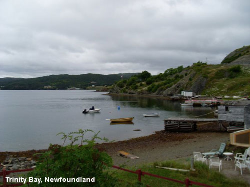 Vacanta in Trinity Bay, Newfoundland, vacante de vis, calatorie, insule si locuri de scufundat, top plaje de vis