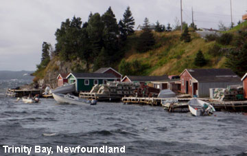 Vacanta in Trinity Bay, Newfoundland, vacante de vis, calatorie, insule si locuri de scufundat, top plaje de vis