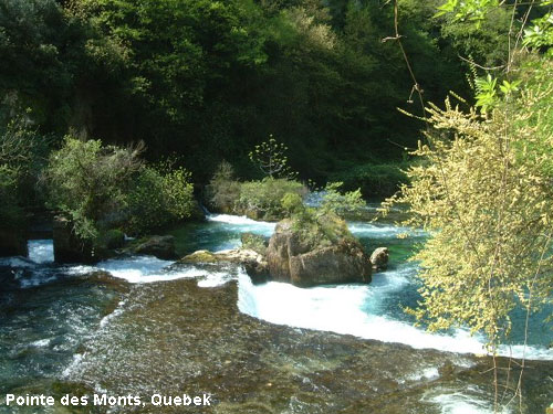 Vacanta in Pointe des Monts, Quebek, vacante de vis, calatorie, insule si locuri de scufundat, top plaje de vis