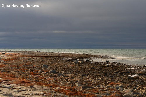 Vacanta in Gjoa Haven, Nunavut, vacante de vis, calatorie, insule si locuri de scufundat, top plaje de vis