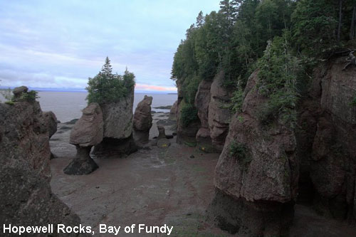 Vacanta in Hopewell Rocks, Bay of Fundy, vacante de vis, calatorie, insule si locuri de scufundat, top plaje de vis
