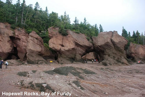 Vacanta in Hopewell Rocks, Bay of Fundy, vacante de vis, calatorie, insule si locuri de scufundat, top plaje de vis