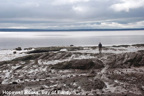 Vacanta in Hopewell Rocks, Bay of Fundy, vacante de vis, calatorie, insule si locuri de scufundat, top plaje de vis