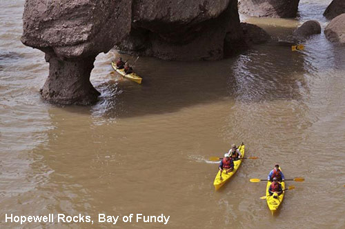 Vacanta in Hopewell Rocks, Bay of Fundy, vacante de vis, calatorie, insule si locuri de scufundat, top plaje de vis