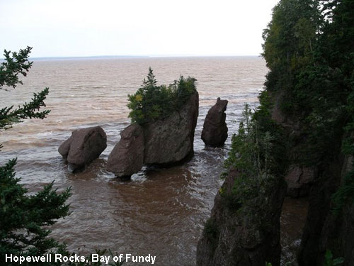 Vacanta in Hopewell Rocks, Bay of Fundy, vacante de vis, calatorie, insule si locuri de scufundat, top plaje de vis