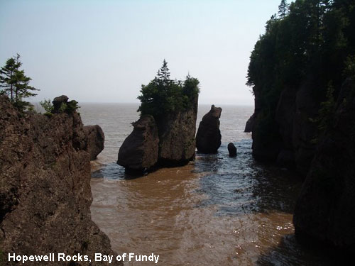 Vacanta in Hopewell Rocks, Bay of Fundy, vacante de vis, calatorie, insule si locuri de scufundat, top plaje de vis
