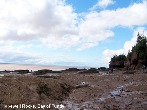 Vacanta in Hopewell Rocks, Bay of Fundy, vacante de vis, calatorie, insule si locuri de scufundat, top plaje de vis