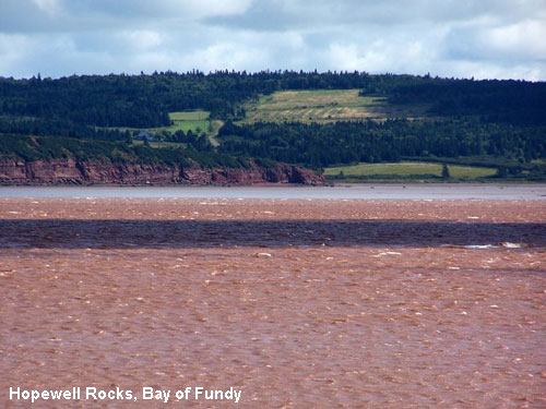 Vacanta in Hopewell Rocks, Bay of Fundy, vacante de vis, calatorie, insule si locuri de scufundat, top plaje de vis