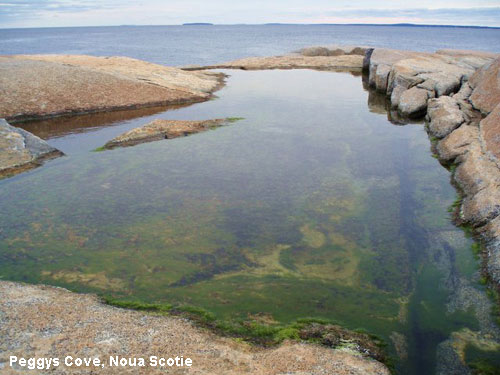 Vacanta in Peggys Cove, Noua Scotie, vacante de vis, calatorie, insule si locuri de scufundat, top plaje de vis