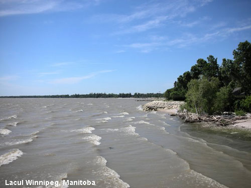 Vacanta in Lacul Winnipeg, Manitoba, vacante de vis, calatorie, insule si locuri de scufundat, top plaje de vis