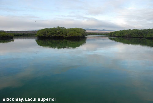 Vacanta in Black Bay, Lacul Superior, vacante de vis, calatorie, insule si locuri de scufundat, top plaje de vis