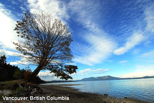 Vacanta in Vancouver, British Columbia, vacante de vis, calatorie, insule si locuri de scufundat, top plaje de vis