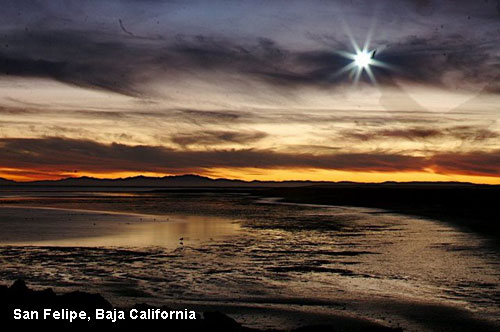 Vacanta in San Felipe, Baja California, vacante de vis, calatorie, insule si locuri de scufundat, top plaje de vis