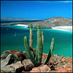 Vacanta in La Paz, Baja California Sur, vacante de vis, calatorie, insule si locuri de scufundat, top plaje de vis
