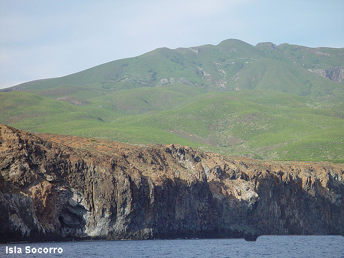Vacanta in Isla Socorro, Insulele Revillagigedo, vacante de vis, calatorie, insule si locuri de scufundat, top plaje de vis