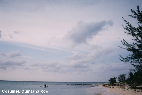 Vacanta in Cozumel, Quintana Roo, vacante de vis, calatorie, insule si locuri de scufundat, top plaje de vis
