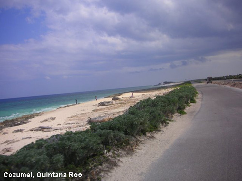Vacanta in Cozumel, Quintana Roo, vacante de vis, calatorie, insule si locuri de scufundat, top plaje de vis
