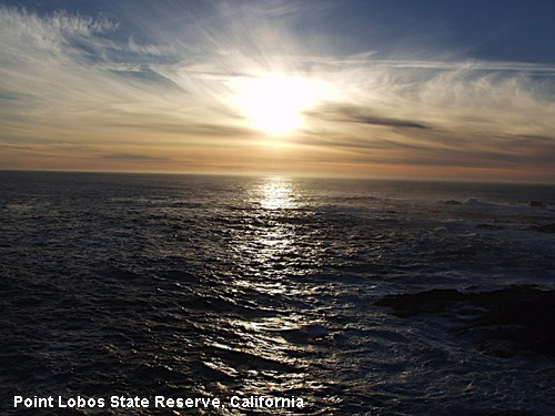 Vacanta in Point Lobos State Reserve, California, vacante de vis, calatorie, insule si locuri de scufundat, top plaje de vis