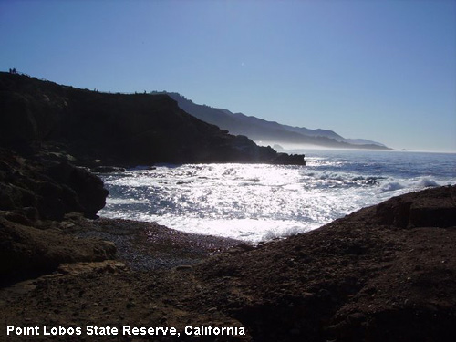 Vacanta in Point Lobos State Reserve, California, vacante de vis, calatorie, insule si locuri de scufundat, top plaje de vis
