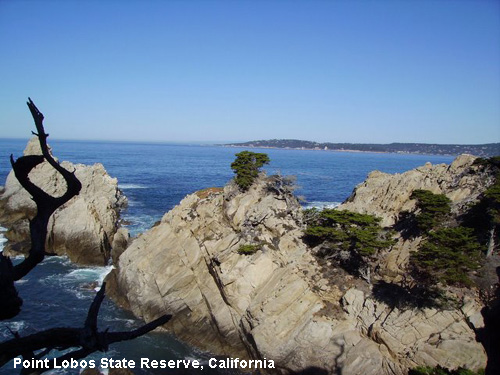 Vacanta in Point Lobos State Reserve, California, vacante de vis, calatorie, insule si locuri de scufundat, top plaje de vis
