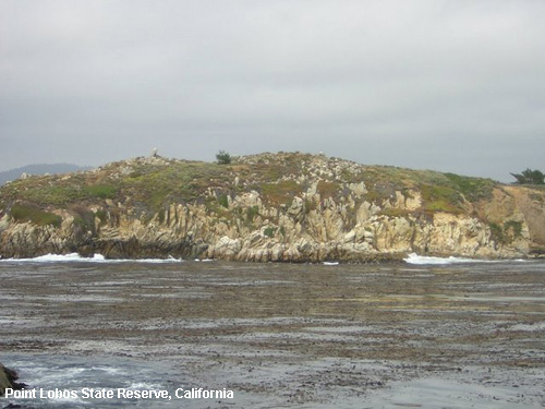 Vacanta in Point Lobos State Reserve, California, vacante de vis, calatorie, insule si locuri de scufundat, top plaje de vis