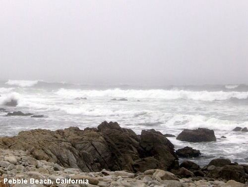 Vacanta in Pebble Beach, California, vacante de vis, calatorie, insule si locuri de scufundat, top plaje de vis