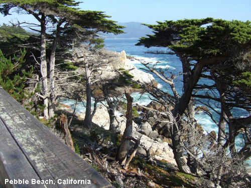 Vacanta in Pebble Beach, California, vacante de vis, calatorie, insule si locuri de scufundat, top plaje de vis