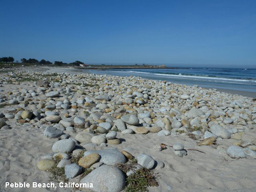 Vacanta in Pebble Beach, California, vacante de vis, calatorie, insule si locuri de scufundat, top plaje de vis