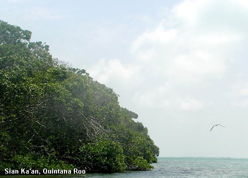 Vacanta in Sian Ka'an, Quintana Roo, vacante de vis, calatorie, insule si locuri de scufundat, top plaje de vis
