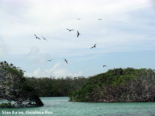 Vacanta in Sian Ka'an, Quintana Roo, vacante de vis, calatorie, insule si locuri de scufundat, top plaje de vis