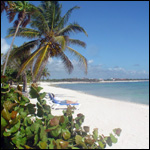 Vacanta in Playa Akumal, Quintana Roo, vacante de vis, calatorie, insule si locuri de scufundat, top plaje de vis
