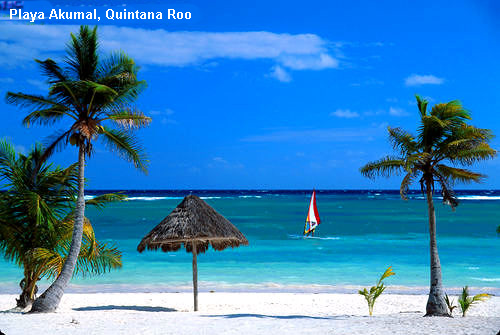 Vacanta in Playa Akumal, Quintana Roo, vacante de vis, calatorie, insule si locuri de scufundat, top plaje de vis