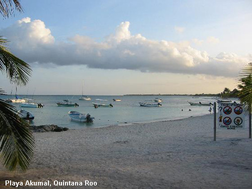 Vacanta in Playa Akumal, Quintana Roo, vacante de vis, calatorie, insule si locuri de scufundat, top plaje de vis