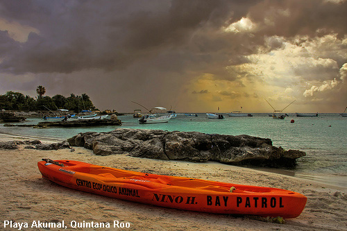 Vacanta in Playa Akumal, Quintana Roo, vacante de vis, calatorie, insule si locuri de scufundat, top plaje de vis