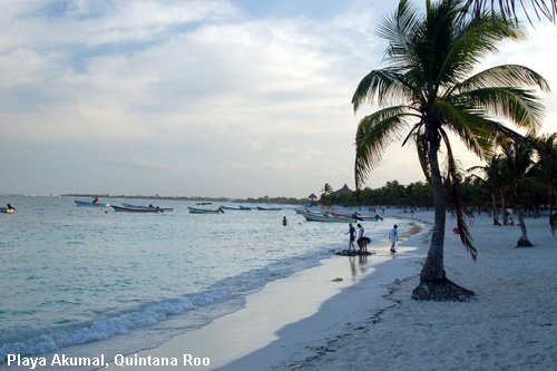 Vacanta in Playa Akumal, Quintana Roo, vacante de vis, calatorie, insule si locuri de scufundat, top plaje de vis