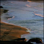 Vacanta in Big Sur, California, vacante de vis, calatorie, insule si locuri de scufundat, top plaje de vis