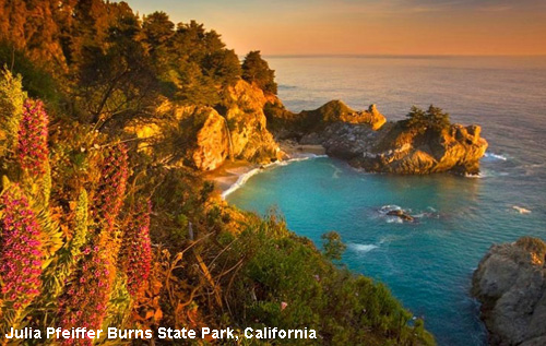 Vacanta in Julia Pfeiffer Burns State Park, California, vacante de vis, calatorie, insule si locuri de scufundat, top plaje de vis