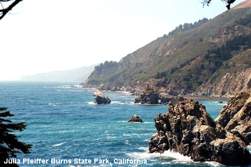 Vacanta in Julia Pfeiffer Burns State Park, California, vacante de vis, calatorie, insule si locuri de scufundat, top plaje de vis