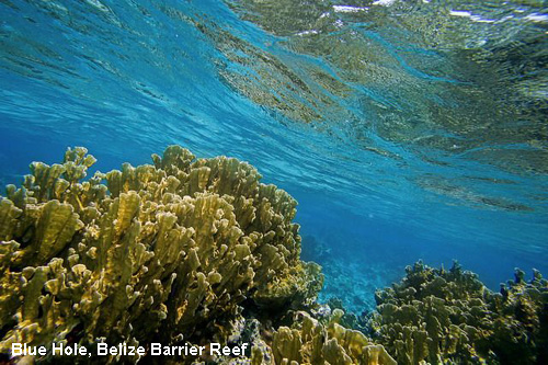 Vacanta in Blue Hole, Belize Barrier Reef, vacante de vis, calatorie, insule si locuri de scufundat, top plaje de vis