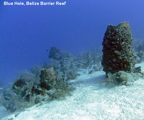 Vacanta in Blue Hole, Belize Barrier Reef, vacante de vis, calatorie, insule si locuri de scufundat, top plaje de vis