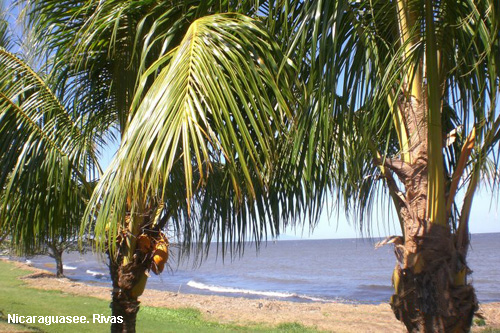 Vacanta in Nicaraguasee. Rivas, vacante de vis, calatorie, insule si locuri de scufundat, top plaje de vis