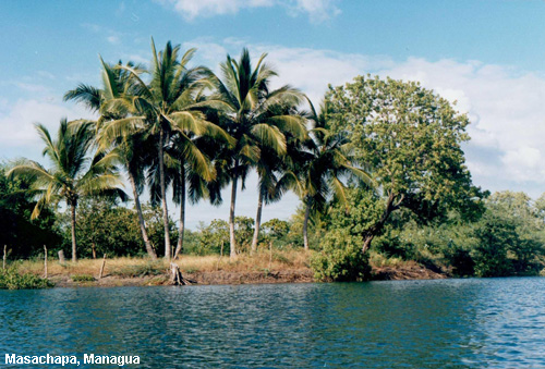 Vacanta in Masachapa, Managua, vacante de vis, calatorie, insule si locuri de scufundat, top plaje de vis