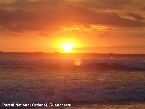 Vacanta in Parcul National Ostional, Guanacaste, vacante de vis, calatorie, insule si locuri de scufundat, top plaje de vis