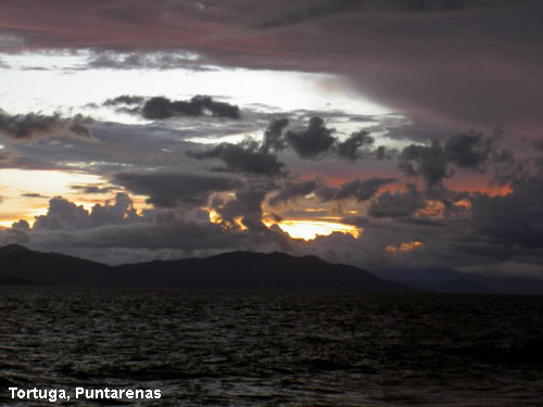 Vacanta in Tortuga, Puntarenas, vacante de vis, calatorie, insule si locuri de scufundat, top plaje de vis